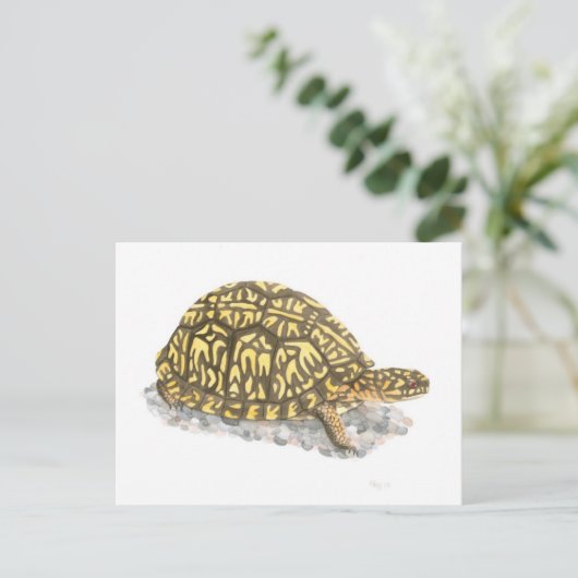 Carte postale de Turtle (Debout devant)