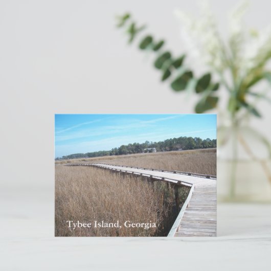 Carte postale de Tybee Island Georgia GA (Debout devant)