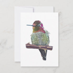 Carte postale de type Hummingbird d’Anna
