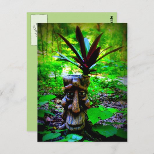 Carte postale de type Whimsical Stump (Devant / Derrière)