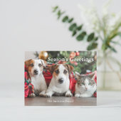 Carte postale de vacances Bonnes Fêtes photo (Debout devant)