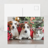 Carte postale de vacances Bonnes Fêtes photo (Devant / Derrière)