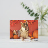 Carte postale de vacances d'automne de loup (Debout devant)