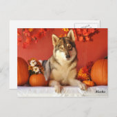 Carte postale de vacances d'automne de loup (Devant / Derrière)