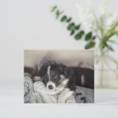 Carte postale de vacances de chiot dormant (Debout devant)
