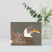 Carte postale de vacances DIY Canard Mignon de prè (Debout devant)