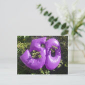 Carte postale de vacances DIY Violet 50 (Debout devant)