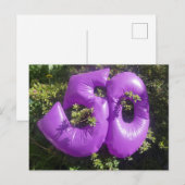Carte postale de vacances DIY Violet 50 (Devant / Derrière)