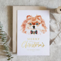 Aquarelle festive Chien roumain Joyeux Noël