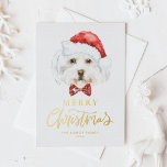 Carte Postale De Vacances En Aluminium Aquarelle mignonne Maltese Père Noël Joyeux Noël<br><div class="desc">Joyeux Noël! Envoyez vos souhaits de vacances à votre famille et à vos amis avec cette carte postale de Noël personnalisable. Il comprend un chien maltais aquarelle portant un chapeau de Père Noël. Personnalisez cette carte postale de Noël en feuille d'or en ajoutant vos détails. Cette carte de Noël pour...</div>