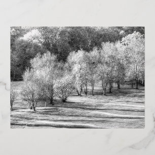 Carte Postale De Vacances En Aluminium Dartmoor Morning Frost Monochrome