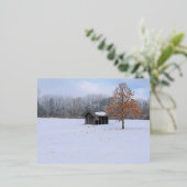 Carte postale de vacances en aluminium de paddock (Debout devant)