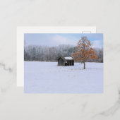Carte postale de vacances en aluminium de paddock (Recto/Verso)