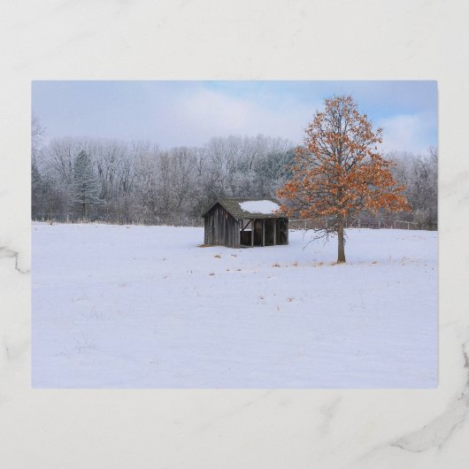 Carte postale de vacances en aluminium de paddock (Recto)