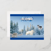 Carte Postale De Vacances En Aluminium Décembre (Recto/Verso)