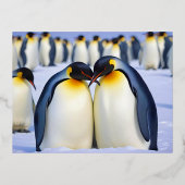 Carte Postale De Vacances En Aluminium Empereur Penguins Animal Nature Wildlife Affection (Recto)