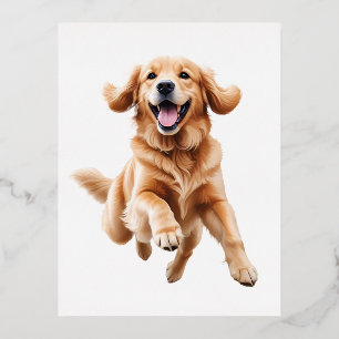 Carte Postale De Vacances En Aluminium Golden Retriever Joyeux Jouer Fun Jumping En Air