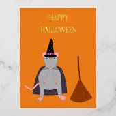 Carte Postale De Vacances En Aluminium Halloween Rat sorcier et Broom Custom (Recto)