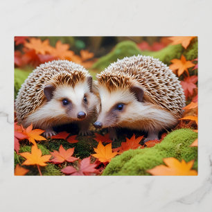 Carte Postale De Vacances En Aluminium Hérisson Animal Nature Animale Animaux Affection A