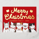 Carte Postale De Vacances En Aluminium Joyeux Noël Drôle Mignonne Chats Caroling (Recto)