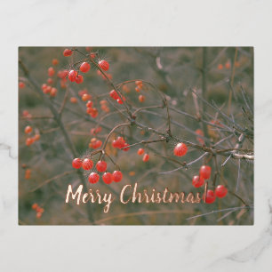 Carte Postale De Vacances En Aluminium Joyeux Noël Fête des baies rouges Photo