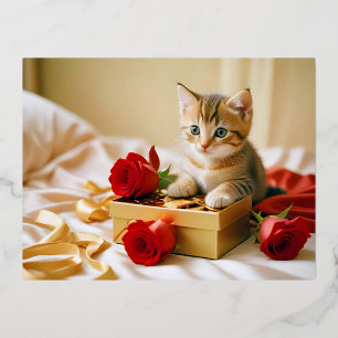 Carte Postale De Vacances En Aluminium Kitten Love Tender Romantique magnifique cadeau