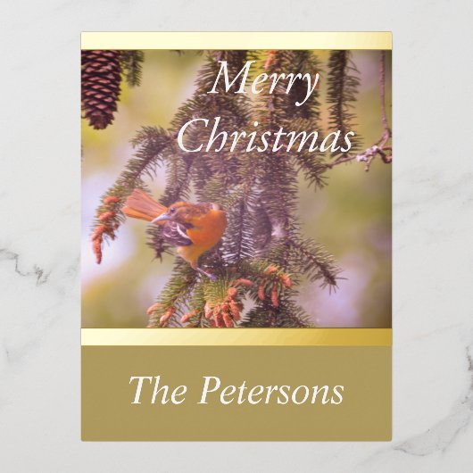 Carte Postale De Vacances En Aluminium LavishlyOn Monogramme Red Bird Pine Tree Branche (Recto)