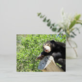 Carte Postale De Vacances En Aluminium Lazy Sun Bear (Debout devant)