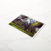 Carte Postale De Vacances En Aluminium Louisiana Oak Tree Postcard (Rotation)