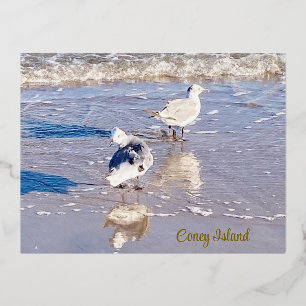 Carte Postale De Vacances En Aluminium Mouettes de Coney Island 