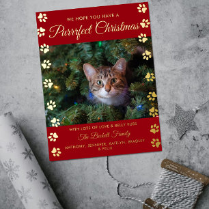 Carte Postale De Vacances En Aluminium Noël Purrrfect Photo Réel de Chat