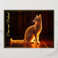 OEuvre d'art pour animaux de compagnie éclairée en