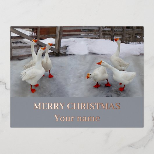 Carte Postale De Vacances En Aluminium Oie blanche (Recto)