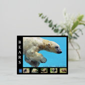 Carte Postale De Vacances En Aluminium Ours divers (Debout devant)