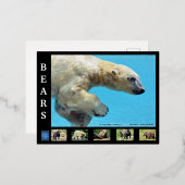 Carte Postale De Vacances En Aluminium Ours divers (Recto/Verso)