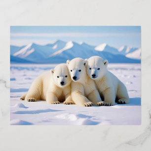 Carte Postale De Vacances En Aluminium Ours polaire Animal Nature Animaux Affection Faune