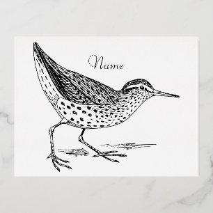 Carte Postale De Vacances En Aluminium Sandpiper Shorer Thunder_Cove