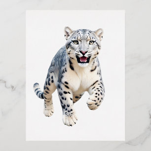Carte Postale De Vacances En Aluminium Snow Leopard Joyeux Joueur Amusant Sauter Dans L'A