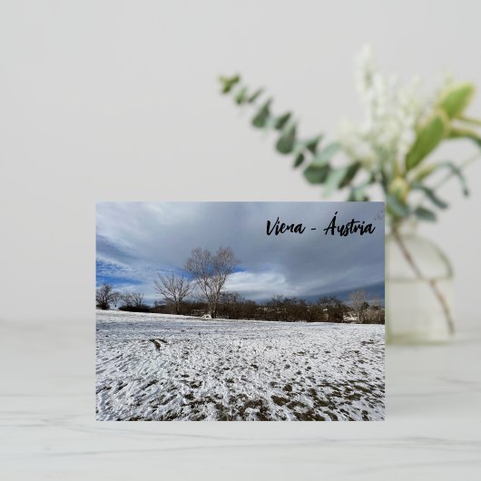 Carte Postale De Vacances En Aluminium Viena - Áustria (Debout devant)