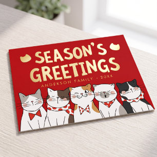 Carte Postale De Vacances En Aluminium Vœux de la saison Chats drôles et mignons qui chan