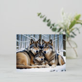 Carte Postale De Vacances En Aluminium Wolf Animal Nature Faune Affection Soin (Debout devant)