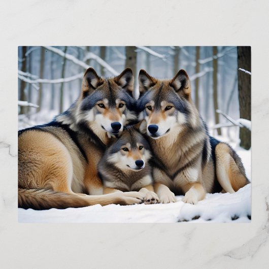 Carte Postale De Vacances En Aluminium Wolf Animal Nature Faune Affection Soin (Recto)