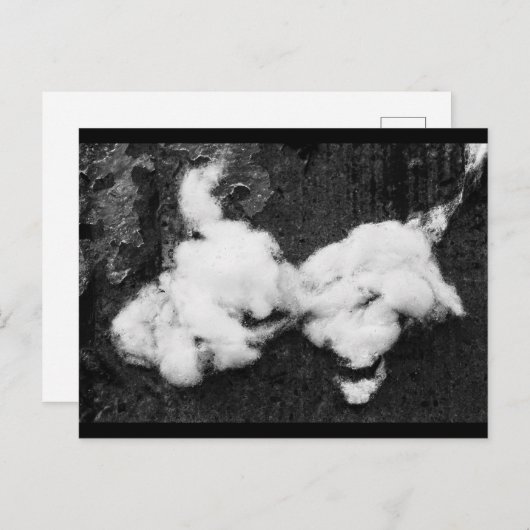 carte postale de vacances moelleuse (Devant / Derrière)