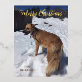 Carte postale de vacances personnalisée avec photo (Recto)