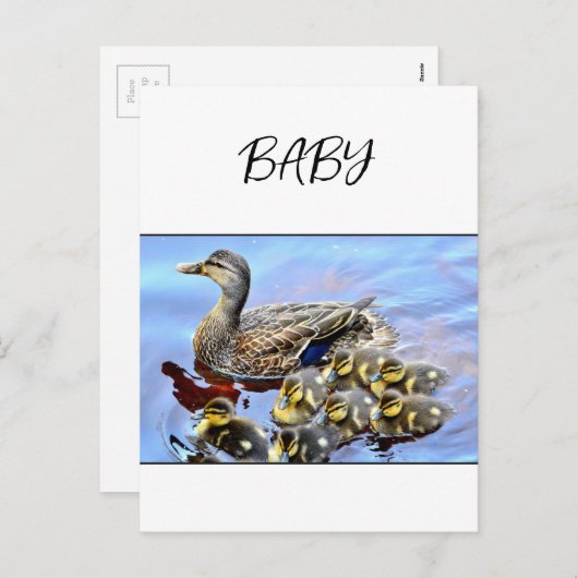 Carte postale de vacances pour bébé (Devant / Derrière)