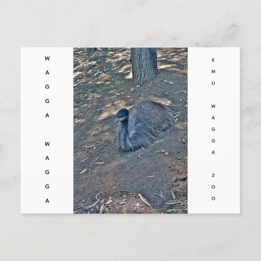 Carte postale de vacances texture lisse (Devant)