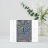 Carte postale de vacances texture lisse (Debout devant)