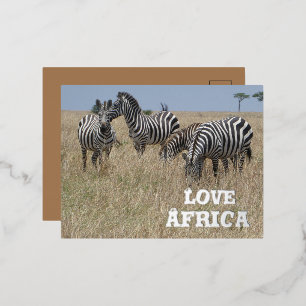 Carte postale de vacances Zebra's in the Wild Foil