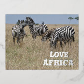 Carte postale de vacances Zebra's in the Wild Foil (Recto)