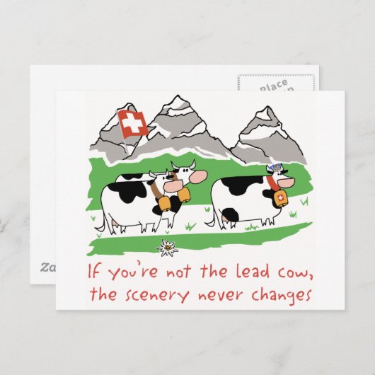 Carte postale de vache à avance (Devant / Derrière)